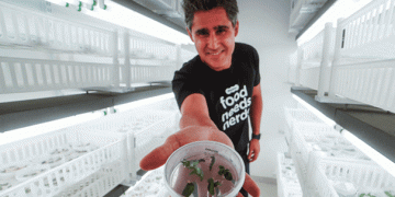 Pioneering Plant-Based Protein: Moolec Science’s USDA Approval for Genetically Modified Peas