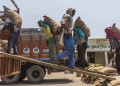 India Eases Rice Export Restrictions: Implications for Global Markets