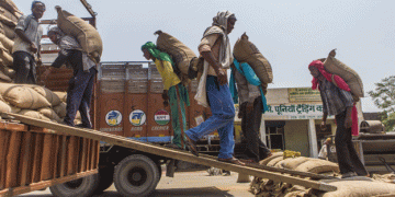 India Eases Rice Export Restrictions: Implications for Global Markets