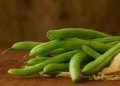 New Pea Processing Plant in Pyatigorsk to Revolutionize Agriculture with a 13-Billion-Ruble Investment