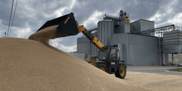 Russia’s Wheat Import Ban: Implications for Kazakhstan and the Global Agricultural Market