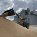 Russia’s Wheat Import Ban: Implications for Kazakhstan and the Global Agricultural Market