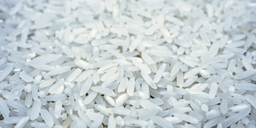 The World’s Most Expensive Rice: A Japanese Specialty Enters the Guinness World Records