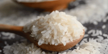 Astrakhan Region Rises: A Leader in Rice Production with Ambitious Goals