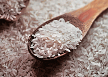 Japan Faces Largest Rice Shortage in Decades: Causes and Implications for Farmers