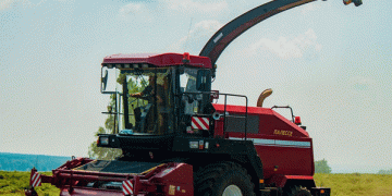 South Ural Sets Historic Wheat Harvest Record Amid Challenging Conditions