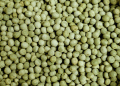Unlocking the Future of Pea Farming: Get PB-89 Seeds for Just ₹160!