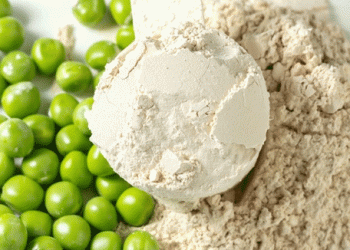 Cosucra’s €30 Million Investment to Boost Pea Protein Production Amid Growing Global Demand