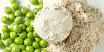 Cosucra’s €30 Million Investment to Boost Pea Protein Production Amid Growing Global Demand