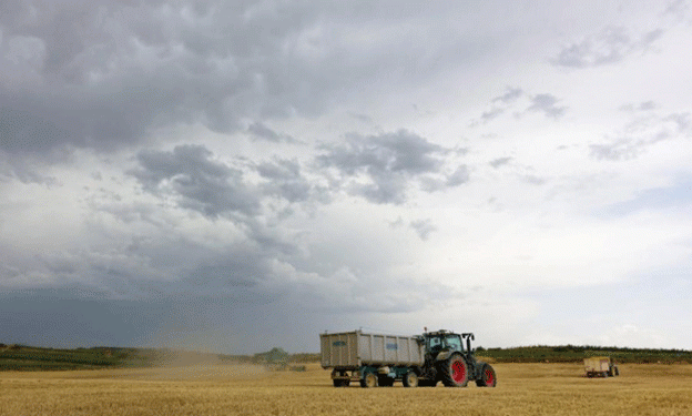 Tambov Region Harvests 3.7 Million Tons of Grain: Soybeans Show Remarkable Growth Despite Challenges