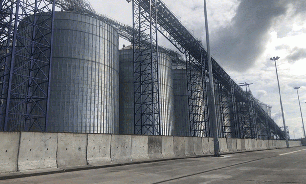 First Shipment of Russian Wheat from Vysotsk Port to Angola: A New Era for Grain Exports