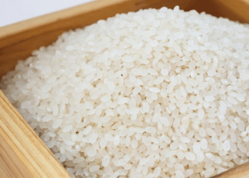 Rice Harvest Begins in Krasnodar Region with Promising Yields