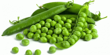 Pea Protein Revolution: Stavropol Region to Welcome New Processing Plant