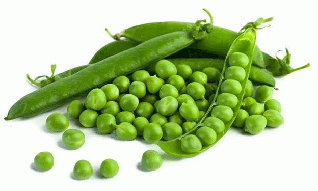 Pea Protein Revolution: Stavropol Region to Welcome New Processing Plant