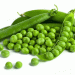 Pea Protein Revolution: Stavropol Region to Welcome New Processing Plant