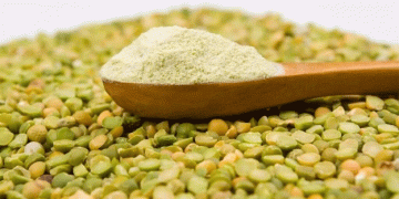 Lantmännen’s Ambitious €100 Million Investment to Revolutionize Sweden’s Plant Protein Market