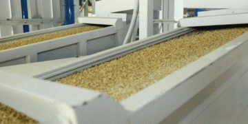 Dagestan Expands Rice Processing Capabilities: Two New Factories to be Built by 2025