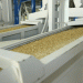 Dagestan Expands Rice Processing Capabilities: Two New Factories to be Built by 2025