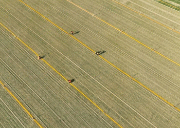 Transforming Agriculture in Shandong: Building a High-Standard “Qilu Granary”