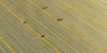 Transforming Agriculture in Shandong: Building a High-Standard “Qilu Granary”