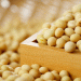 2024 Soybean Production in South Korea: A Slight Increase in Yield Amid Growing Challenges