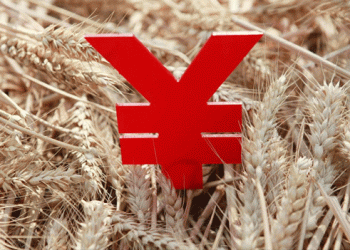 Transforming Agriculture in Shandong: Building a High-Standard “Qilu Granary”
