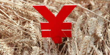 Transforming Agriculture in Shandong: Building a High-Standard “Qilu Granary”