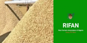 Catalyzing Nigeria’s Rice Revolution: Strategies to Achieve Self-Sufficiency and Economic Growth