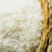 Empowering Rice Farmers in Maluku: Strategies for Boosting Local Rice Production
