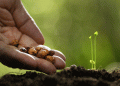 Citizen Science Saves the Beans: A European Initiative Revitalizing Legume Diversity