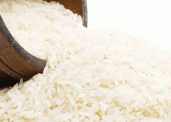 Jeonbuk’s Declining Rice Production: A Wake-Up Call for Korea’s Agricultural Heartland