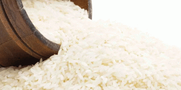 Jeonbuk’s Declining Rice Production: A Wake-Up Call for Korea’s Agricultural Heartland