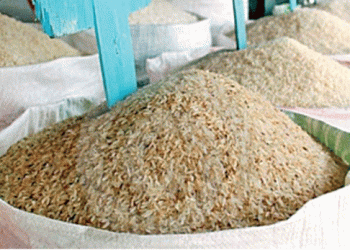 The Politics of Rice: Balancing Supply, Demand, and Prices in Sri Lanka’s Rice Industry