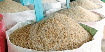 The Politics of Rice: Balancing Supply, Demand, and Prices in Sri Lanka’s Rice Industry