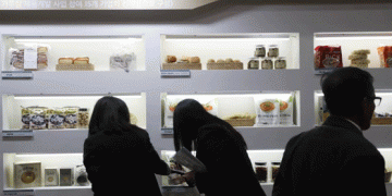 Revamping Flour Rice Policies: A Sustainable Path to Address Surplus Rice