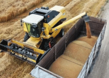 Turkey’s Wheat Harvest Expected to Increase by 10.4%: What This Means for Farmers