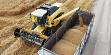 Turkey’s Wheat Harvest Expected to Increase by 10.4%: What This Means for Farmers