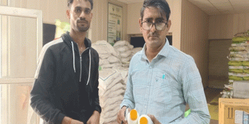 Revolutionizing Wheat Cultivation: How Nano DAP is Reducing Costs and Boosting Yields