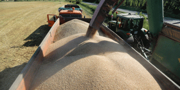 Russia Increases Wheat Export Duty: Impact on Domestic and Global Grain Markets