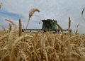 Russia’s Wheat Exports Reach Record Highs, Aiming for Continued Growth in Global Market Share