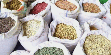 Myanmar’s Pulse Export Success Amid Price Fluctuations: Black Gram and Mung Bean Prices Decline