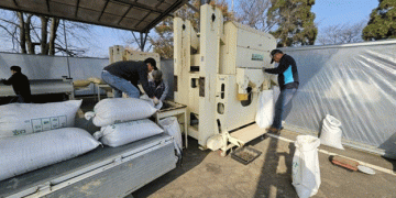 Streamlining Agriculture: Buyeo’s Soybean Sorting Service Eases Farmer Burden