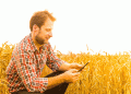 Soft Wheat Takes the Lead in National Yield Contest: Innovations in Wheat Management Pay Off