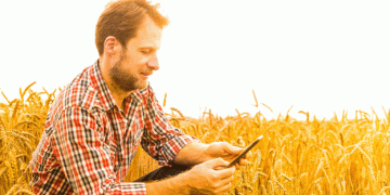 Soft Wheat Takes the Lead in National Yield Contest: Innovations in Wheat Management Pay Off