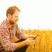 Soft Wheat Takes the Lead in National Yield Contest: Innovations in Wheat Management Pay Off