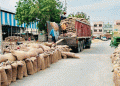 Punjab Farmers Face Changes to Subsidized Wheat Seed Scheme: What It Means for Their Crop Production