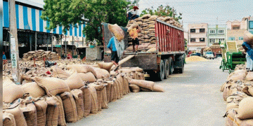 Punjab Farmers Face Changes to Subsidized Wheat Seed Scheme: What It Means for Their Crop Production