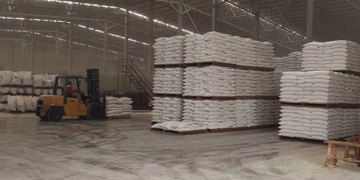 Powering Growth: Cerestar Indonesia Expands Wheat Storage and Production Capacity to Meet Rising Demand