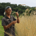 From Field to Table and Back Again: Sustainable Rye Straw Innovation in Japan