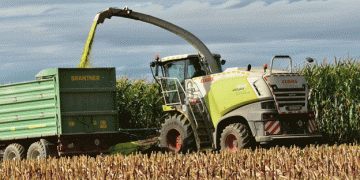 Crop at Risk: How Weather Challenges Are Impacting Corn-Bean Mixtures